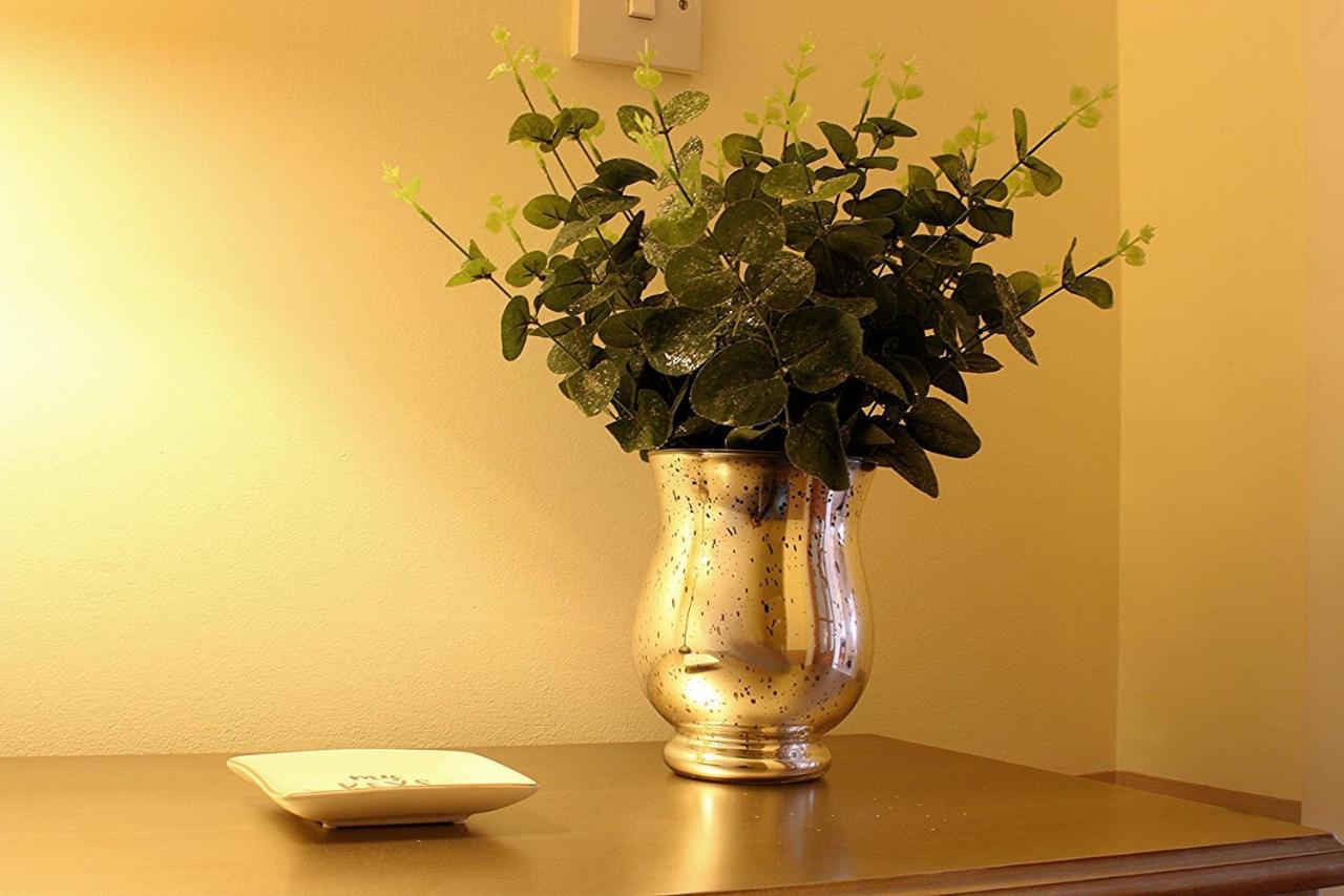 Linden Apartment Stirling Extérieur photo